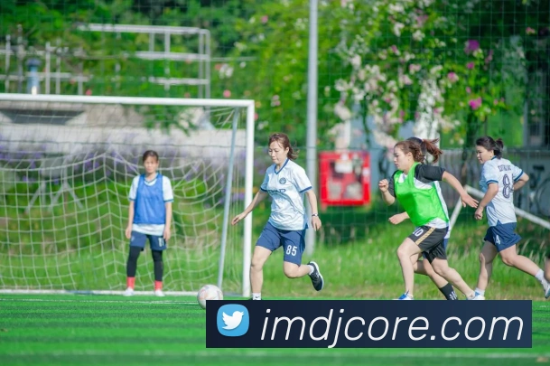 IM电竞发展历程